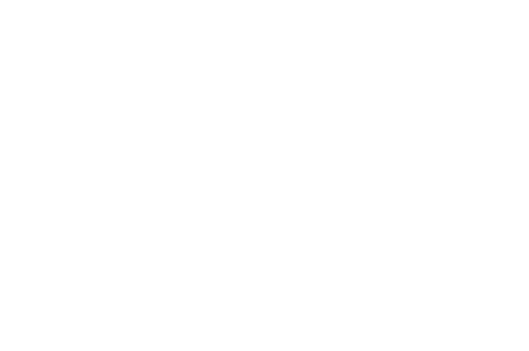 Official Selection — Los Angeles CineFest